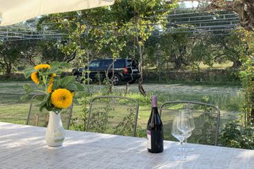 Terrace in front of the apartment